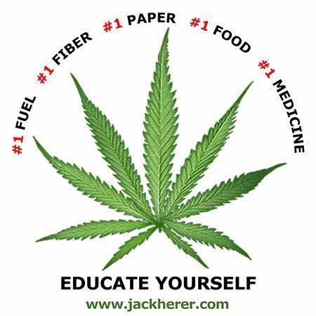 hemp, cotton, cannabis, marijuana, medicinal, sensi seeds, industrial